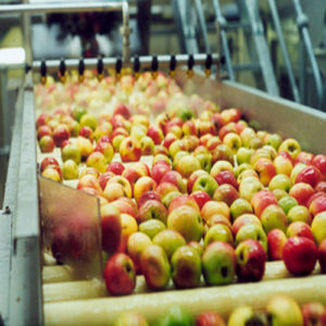 Apple Juice Processing Machinery