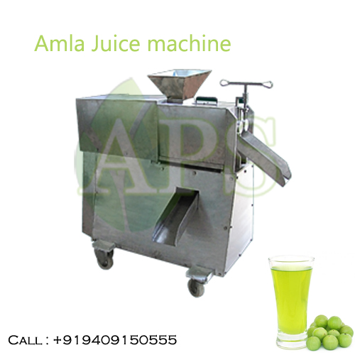 amla juice machine